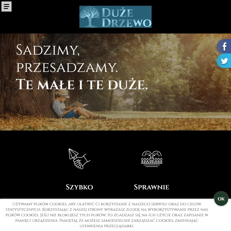 Przesadzanie drzew mazowieckie