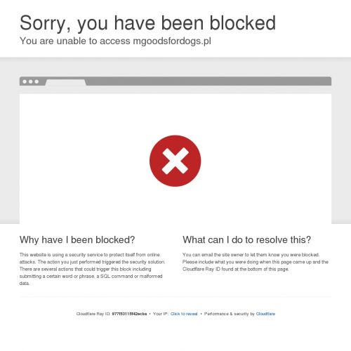 Szarpak dla psa z futerkiem