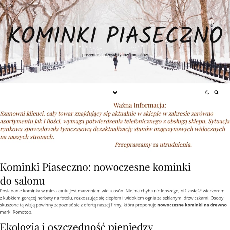 Wkład do kominka